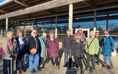 Walking With You: Together in Loss